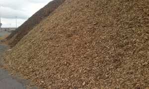 Бензин из опилок: экологически чистый альтернативный источник энергии