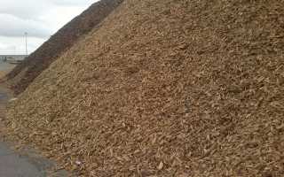 Бензин из опилок: экологически чистый альтернативный источник энергии