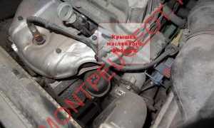 Замена моторного масла пежо 307: советы и рекомендации