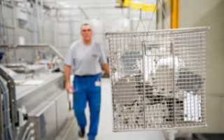 Обезжириватель моторного масла для эффективной очистки