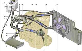 Система охлаждения ваз приора 16 клапанов: особенности и советы
