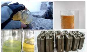 Какой бензин лучше заливать зимой, 92 или 95 для вашего автомобиля