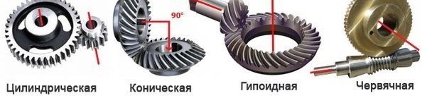 Главная передача виды типы
