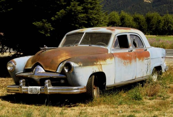 как справиться с рыжиками