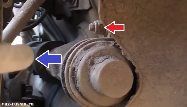 Пружина телескопической стойки показана синей стрелкой и гайка крепления рейки показана красной стрелкой